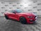 2019 Ford Mustang Shelby GT350