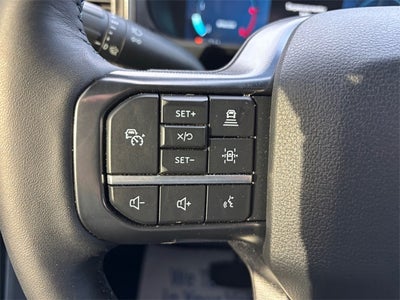 2025 Ford F-350SD Platinum DRW