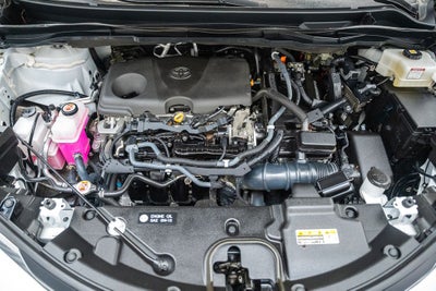 2021 Toyota Sienna LE 8 Passenger