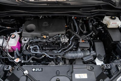 2025 Toyota Sienna XLE 8 Passenger
