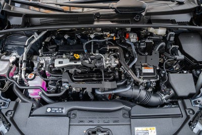 2023 Toyota Prius XLE