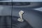 2021 Ford Mustang Shelby GT500