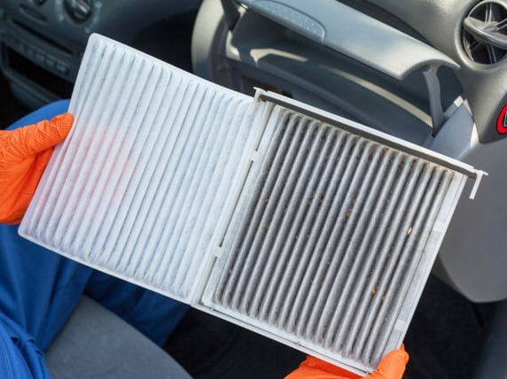 Madison Ford | Madison, VA